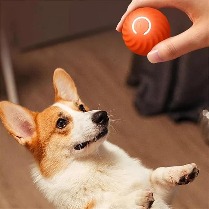 Pelota interactiva que rebota para perros