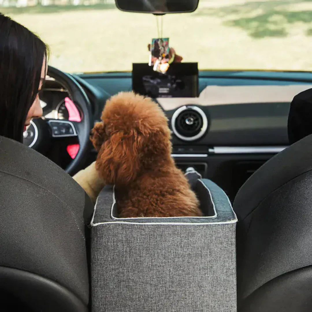 Asiento de coche para mascotas – PawTravel
